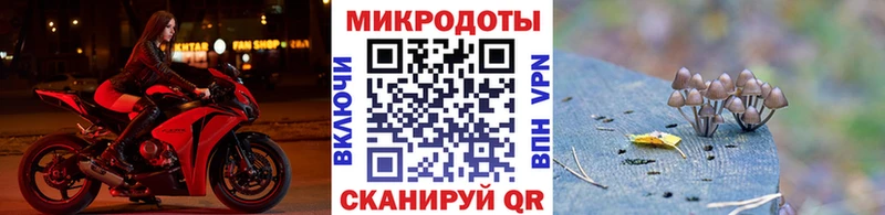 Псилоцибиновые грибы GOLDEN TEACHER  Котельниково 